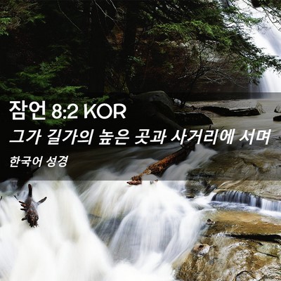 Picture 02 - 잠언 8:2 KOR - 그가 길가의 높은 곳과 사거리에 - Bible Verse Picture
