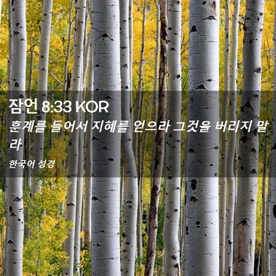 Picture 02 - 잠언 8:33 KOR - 훈계를 들어서 지혜를 얻으라 그것을 - Bible Verse Picture