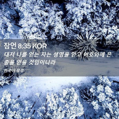Picture 02 - 잠언 8:35 KOR - 대저 나를 얻는 자는 생명을 얻고 - Bible Verse Picture