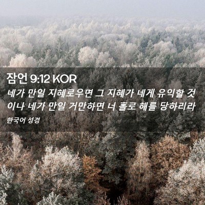 Picture 02 - 잠언 9:12 KOR - 네가 만일 지혜로우면 그 지혜가 - Bible Verse Picture
