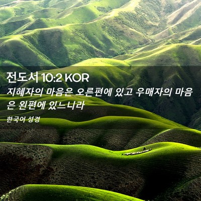 Picture 02 - 전도서 10:2 KOR - 지혜자의 마음은 오른편에 있고 - Bible Verse Picture