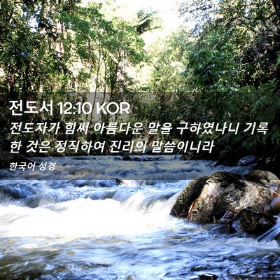 Picture 02 - 전도서 12:10 KOR - 전도자가 힘써 아름다운 말을 - Bible Verse Picture
