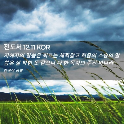 Picture 02 - 전도서 12:11 KOR - 지혜자의 말씀은 찌르는 채찍같고 - Bible Verse Picture
