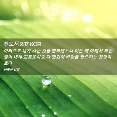 Picture 02 - 전도서 2:17 KOR - 이러므로 내가 사는 것을 한하였노니 - Bible Verse Picture