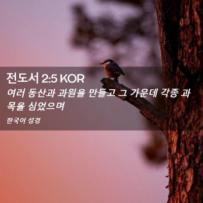 Picture 02 - 전도서 2:5 KOR - 여러 동산과 과원을 만들고 그 - Bible Verse Picture