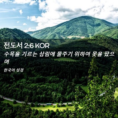 Picture 02 - 전도서 2:6 KOR - 수목을 기르는 삼림에 물주기 위하여 - Bible Verse Picture