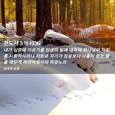 Picture 02 - 전도서 3:18 KOR - 내가 심중에 이르기를 인생의 일에 - Bible Verse Picture