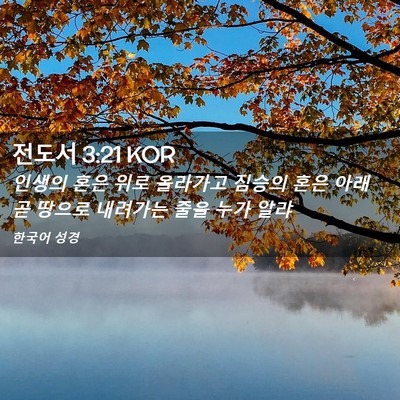 Picture 02 - 전도서 3:21 KOR - 인생의 혼은 위로 올라가고 짐승의 - Bible Verse Picture