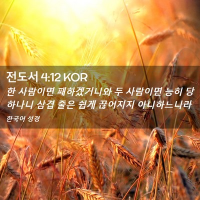 Picture 02 - 전도서 4:12 KOR - 한 사람이면 패하겠거니와 두 - Bible Verse Picture