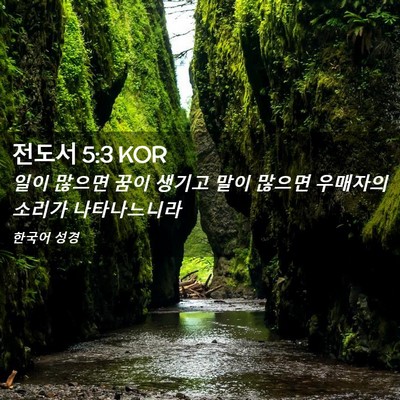 Picture 02 - 전도서 5:3 KOR - 일이 많으면 꿈이 생기고 말이 - Bible Verse Picture