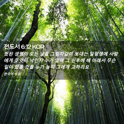 Picture 02 - 전도서 6:12 KOR - 헛된 생명의 모든 날을 그림자같이 - Bible Verse Picture