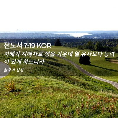 Picture 02 - 전도서 7:19 KOR - 지혜가 지혜자로 성읍 가운데 열 - Bible Verse Picture