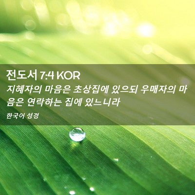 Picture 02 - 전도서 7:4 KOR - 지혜자의 마음은 초상집에 있으되 - Bible Verse Picture