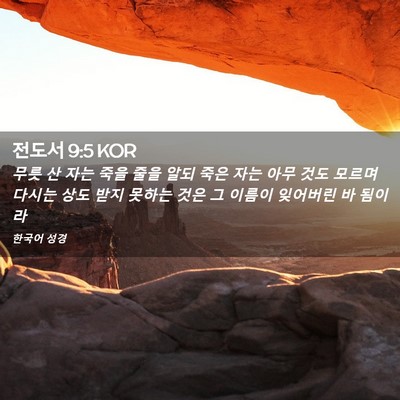 Picture 02 - 전도서 9:5 KOR - 무릇 산 자는 죽을 줄을 알되 죽은 - Bible Verse Picture