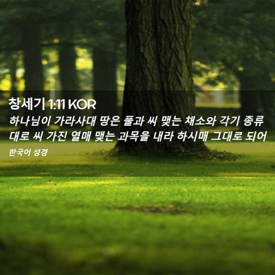 Picture 02 - 창세기 1:11 KOR - 하나님이 가라사대 땅은 풀과 씨 - Bible Verse Picture