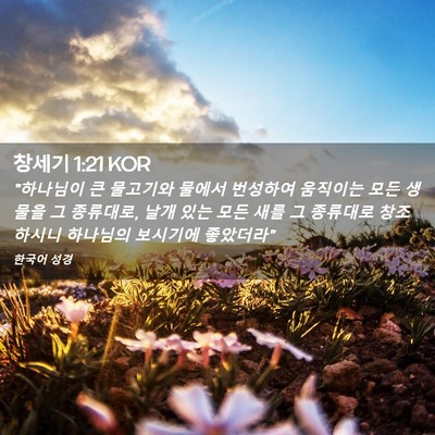 Picture 02 - 창세기 1:21 KOR - 