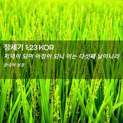Picture 02 - 창세기 1:23 KOR - 저녁이 되며 아침이 되니 이는 - Bible Verse Picture