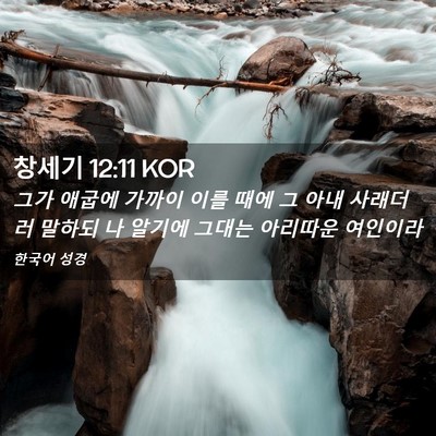 Picture 02 - 창세기 12:11 KOR - 그가 애굽에 가까이 이를 때에 그 - Bible Verse Picture