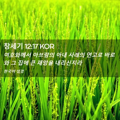 Picture 02 - 창세기 12:17 KOR - 여호와께서 아브람의 아내 사래의 - Bible Verse Picture