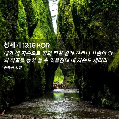 Picture 02 - 창세기 13:16 KOR - 내가 네 자손으로 땅의 티끌 같게 - Bible Verse Picture