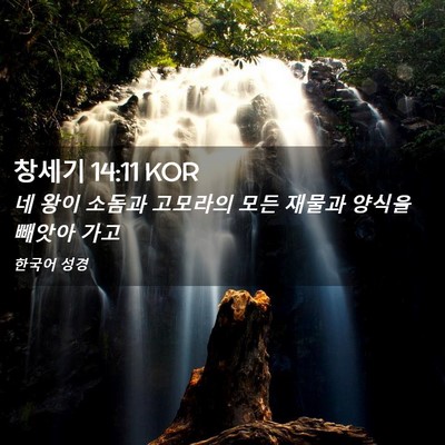 Picture 02 - 창세기 14:11 KOR - 네 왕이 소돔과 고모라의 모든 - Bible Verse Picture