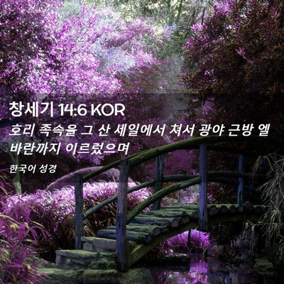 Picture 02 - 창세기 14:6 KOR - 호리 족속을 그 산 세일에서 쳐서 - Bible Verse Picture