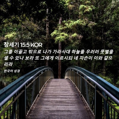 Picture 02 - 창세기 15:5 KOR - 그를 이끌고 밖으로 나가 가라사대 - Bible Verse Picture