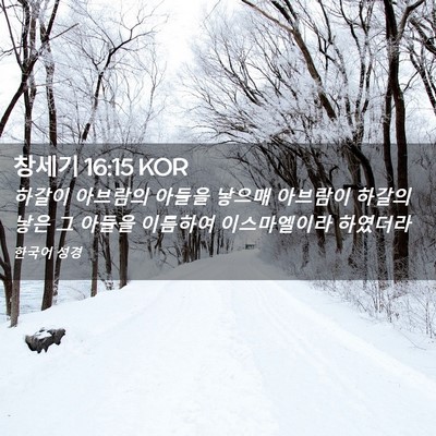 Picture 02 - 창세기 16:15 KOR - 하갈이 아브람의 아들을 낳으매 - Bible Verse Picture