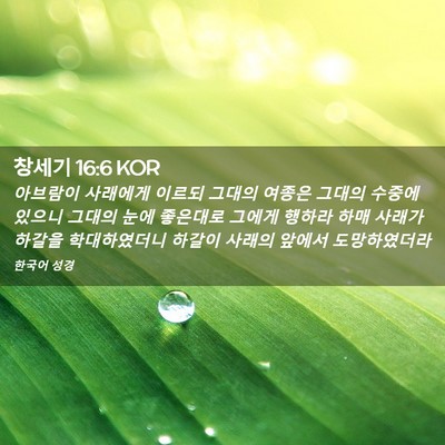 Picture 02 - 창세기 16:6 KOR - 아브람이 사래에게 이르되 그대의 - Bible Verse Picture