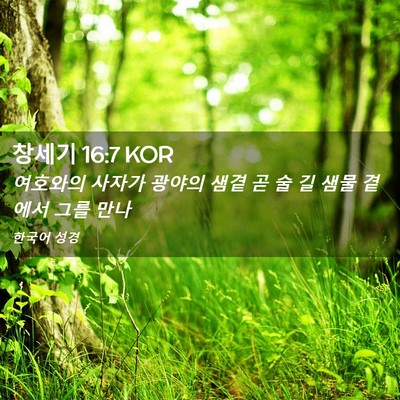 Picture 02 - 창세기 16:7 KOR - 여호와의 사자가 광야의 샘곁 곧 술 - Bible Verse Picture