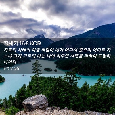 Picture 02 - 창세기 16:8 KOR - 가로되 사래의 여종 하갈아 네가 - Bible Verse Picture