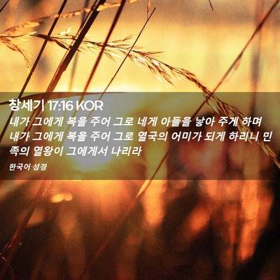 Picture 02 - 창세기 17:16 KOR - 내가 그에게 복을 주어 그로 네게 - Bible Verse Picture