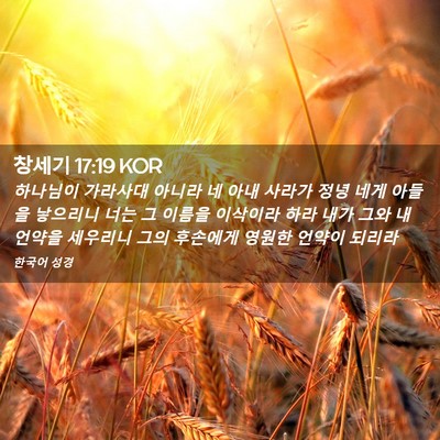 Picture 02 - 창세기 17:19 KOR - 하나님이 가라사대 아니라 네 아내 - Bible Verse Picture