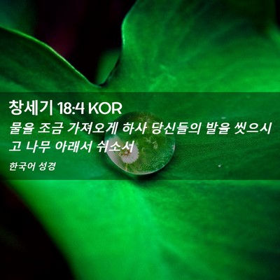 Picture 02 - 창세기 18:4 KOR - 물을 조금 가져오게 하사 당신들의 - Bible Verse Picture