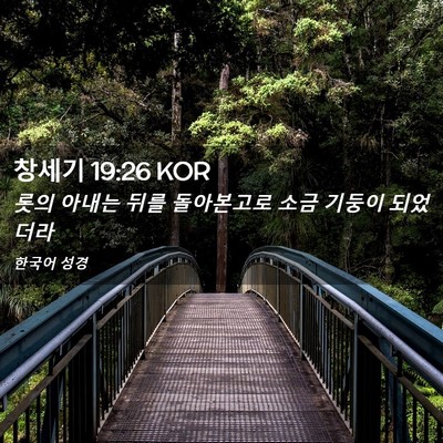 Picture 02 - 창세기 19:26 KOR - 롯의 아내는 뒤를 돌아본고로 소금 - Bible Verse Picture