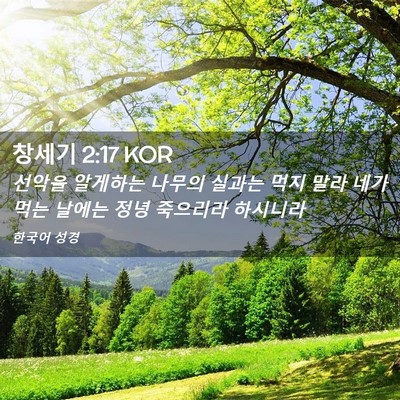 Picture 02 - 창세기 2:17 KOR - 선악을 알게하는 나무의 실과는 먹지 - Bible Verse Picture