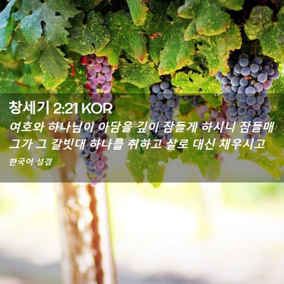 Picture 02 - 창세기 2:21 KOR - 여호와 하나님이 아담을 깊이 잠들게 - Bible Verse Picture