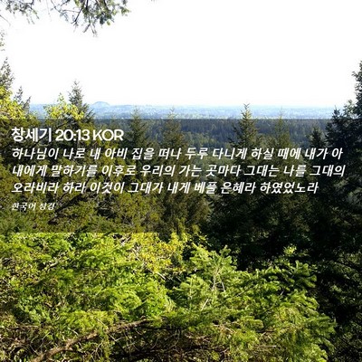 Picture 02 - 창세기 20:13 KOR - 하나님이 나로 내 아비 집을 떠나 - Bible Verse Picture