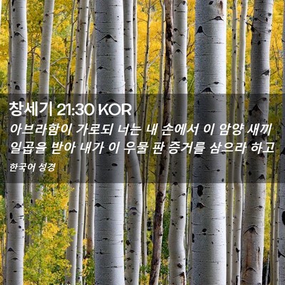 Picture 02 - 창세기 21:30 KOR - 아브라함이 가로되 너는 내 손에서 - Bible Verse Picture