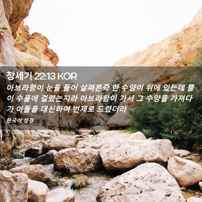 Picture 02 - 창세기 22:13 KOR - 아브라함이 눈을 들어 살펴본즉 한 - Bible Verse Picture