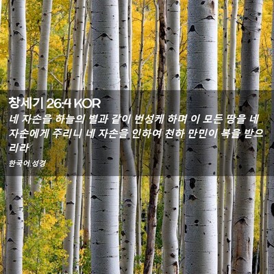 Picture 02 - 창세기 26:4 KOR - 네 자손을 하늘의 별과 같이 번성케 - Bible Verse Picture