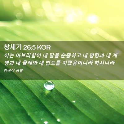 Picture 02 - 창세기 26:5 KOR - 이는 아브라함이 내 말을 순종하고 - Bible Verse Picture