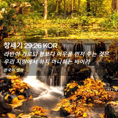 Picture 02 - 창세기 29:26 KOR - 라반이 가로되 형보다 아우를 먼저 - Bible Verse Picture