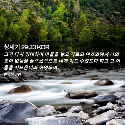Picture 02 - 창세기 29:33 KOR - 그가 다시 잉태하여 아들을 낳고 - Bible Verse Picture