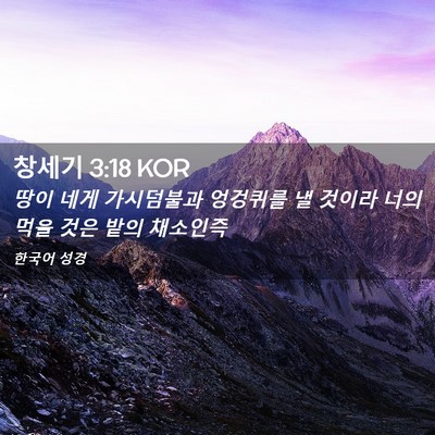 Picture 02 - 창세기 3:18 KOR - 땅이 네게 가시덤불과 엉겅퀴를 낼 - Bible Verse Picture