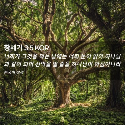 Picture 02 - 창세기 3:5 KOR - 너희가 그것을 먹는 날에는 너희 - Bible Verse Picture