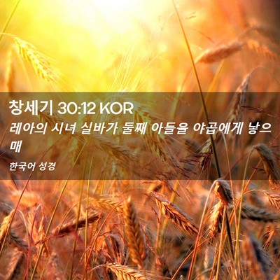 Picture 02 - 창세기 30:12 KOR - 레아의 시녀 실바가 둘째 아들을 - Bible Verse Picture