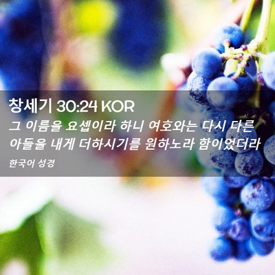 Picture 02 - 창세기 30:24 KOR - 그 이름을 요셉이라 하니 여호와는 - Bible Verse Picture
