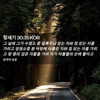 Picture 02 - 창세기 30:35 KOR - 그 날에 그가 수염소 중 얼룩무늬 - Bible Verse Picture