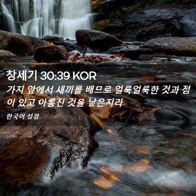 Picture 02 - 창세기 30:39 KOR - 가지 앞에서 새끼를 배므로 - Bible Verse Picture